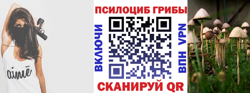Галлюциногенные грибы мухоморы  сколько стоит  Апрелевка 